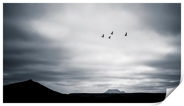 Geese Flying High Print by Peta Thames