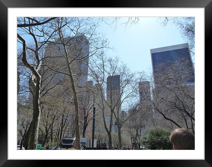A View from Central Park Framed Mounted Print by Laura Hall