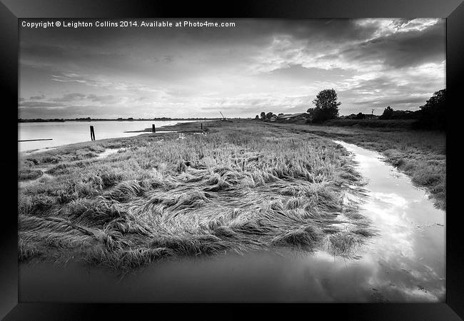 Fraser river Vancouver Framed Print by Leighton Collins