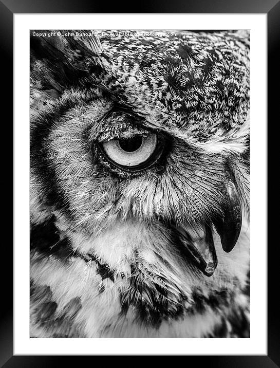 African Spotted Owl Framed Mounted Print by John Dunbar