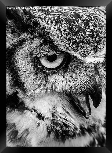 African Spotted Owl Framed Print by John Dunbar