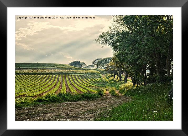 Crop and Countryside Framed Mounted Print by Annabelle Ward