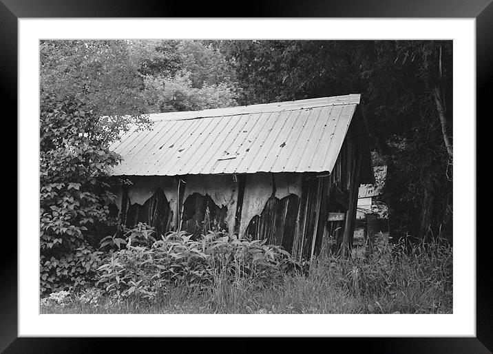 Old barn falling down Framed Mounted Print by Donna-Marie Parsons