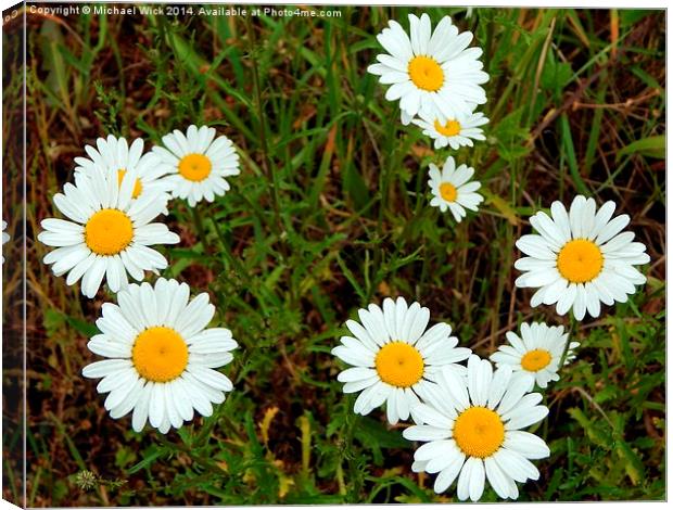 Wild Daisies Canvas Print by Michael Wick