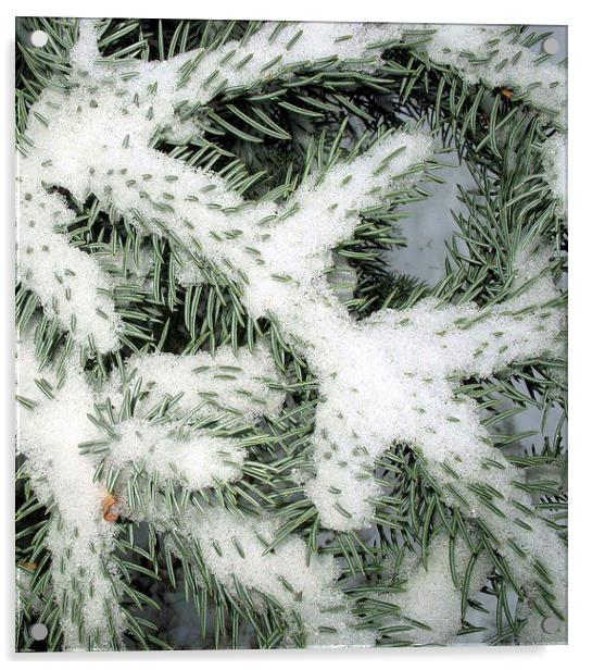 Winter Acrylic by Gary Bass