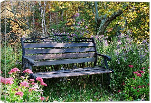 A beautiful spot to rest Canvas Print by Donna-Marie Parsons