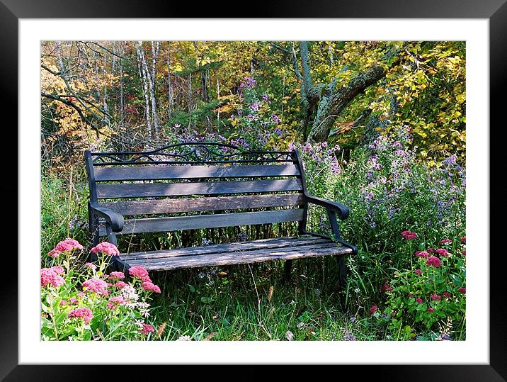 A beautiful spot to rest Framed Mounted Print by Donna-Marie Parsons