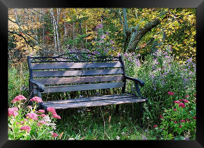 A beautiful spot to rest Framed Print by Donna-Marie Parsons