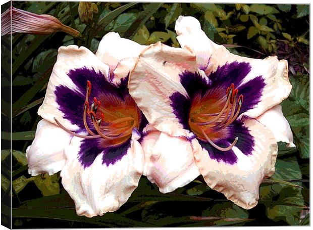 Two Colored Lily Canvas Print by james balzano, jr.