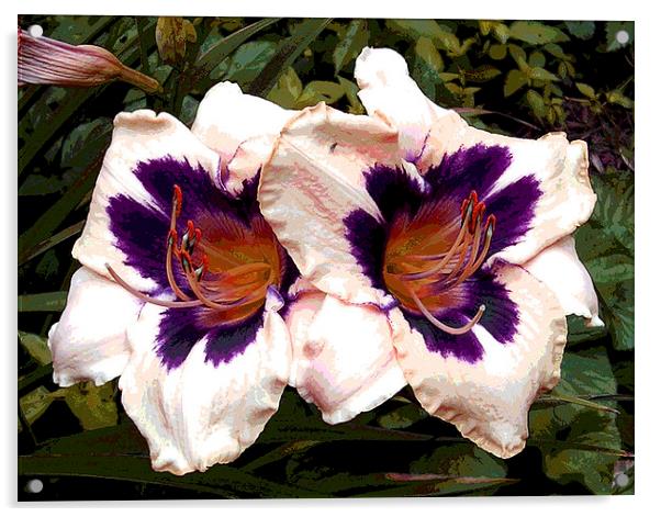 Two Colored Lily Acrylic by james balzano, jr.