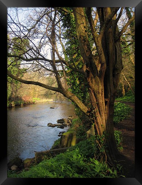 River Almond, Edinburgh, Scotland Framed Print by Linda More