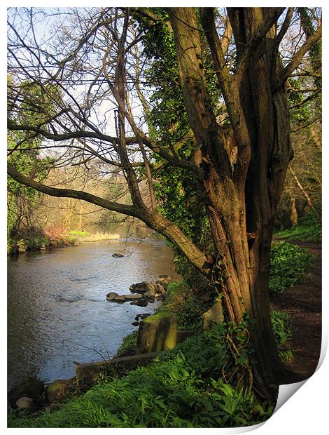 River Almond, Edinburgh, Scotland Print by Linda More