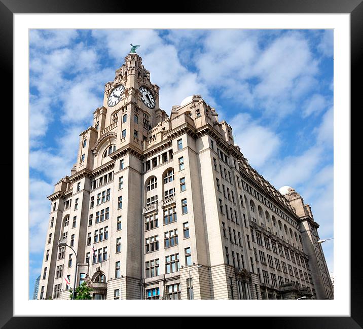 liver buildings Framed Mounted Print by sue davies