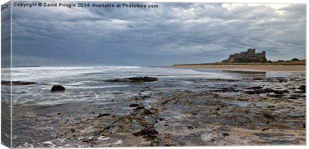 Bamburgh Castle Canvas Print by David Pringle