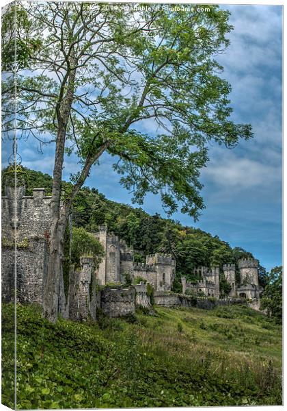 Gwrych Castle Collection 4 Canvas Print by stewart oakes