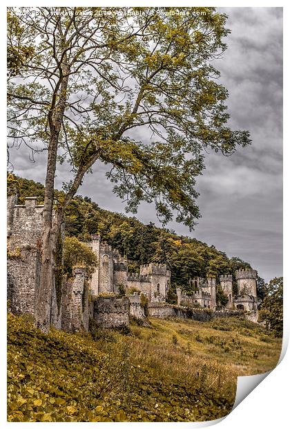 Gwrych Castle Collection 6 Print by stewart oakes