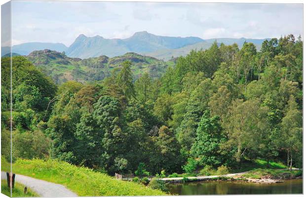 langdales from tarn hows Canvas Print by eric carpenter