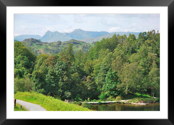 langdales from tarn hows Framed Mounted Print by eric carpenter
