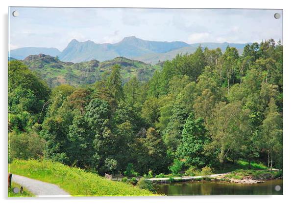 langdales from tarn hows Acrylic by eric carpenter