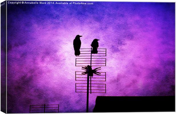 Two Crow Violet Canvas Print by Annabelle Ward