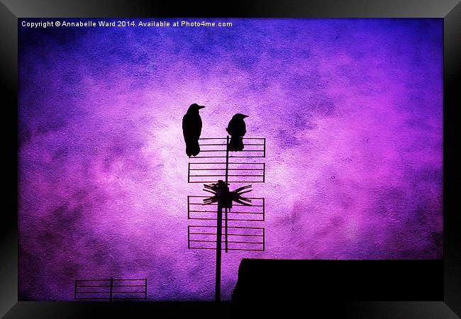 Two Crow Violet Framed Print by Annabelle Ward