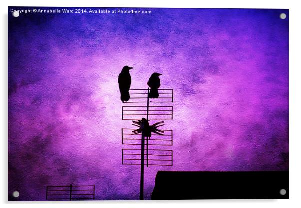 Two Crow Violet Acrylic by Annabelle Ward