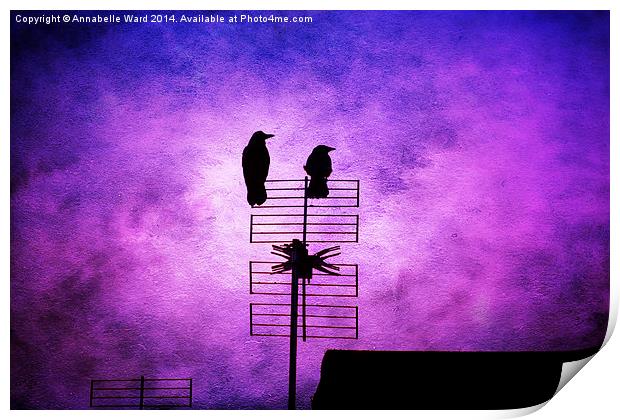 Two Crow Violet Print by Annabelle Ward