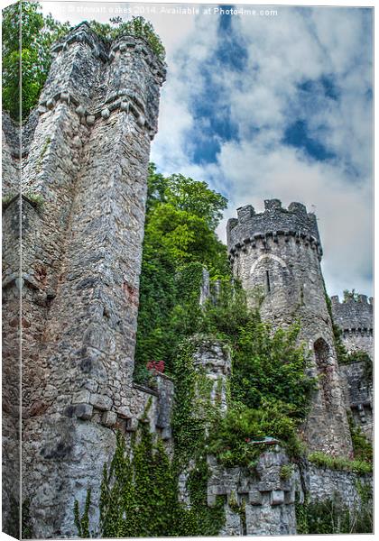 Gwrych Castle Collection 18 Canvas Print by stewart oakes