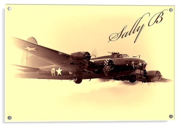 Sally B ,  B-17 flying Fortress Acrylic by Dean Messenger
