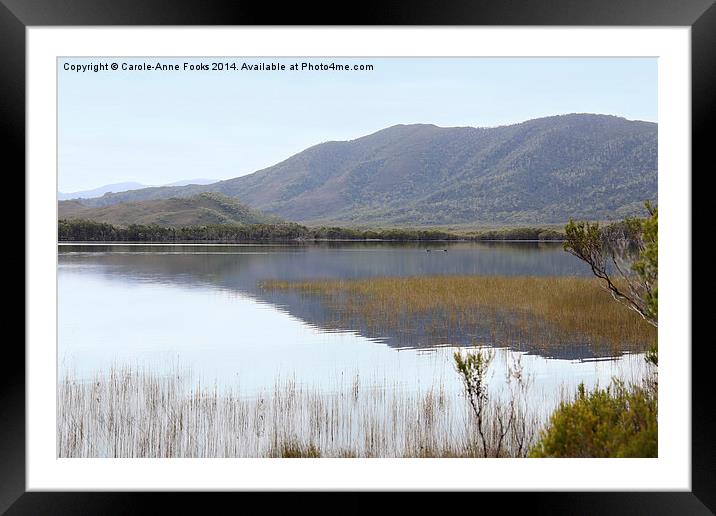 Melaleuca Lagoon Framed Mounted Print by Carole-Anne Fooks