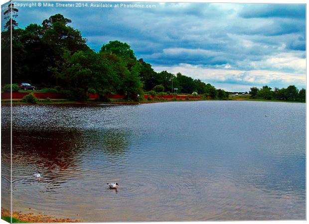 Hatchet Pond 2 Canvas Print by Mike Streeter