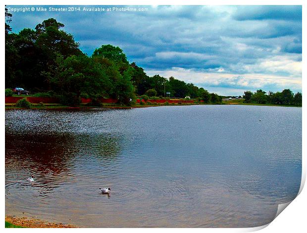 Hatchet Pond 2 Print by Mike Streeter