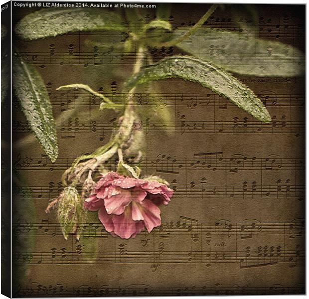 Music and Flowers Canvas Print by LIZ Alderdice