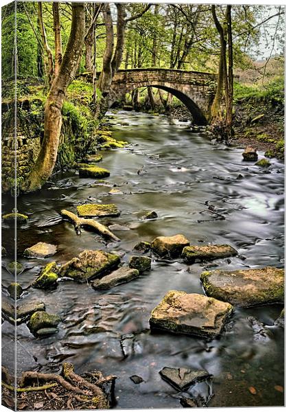River Rivelin & Roscoe Bridge Canvas Print by Darren Galpin