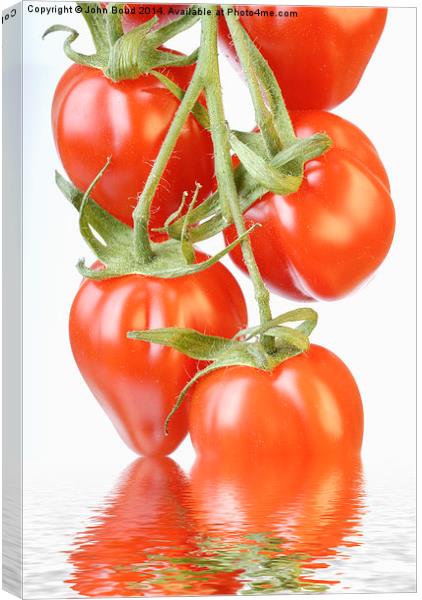 Reflected Tomatoes Canvas Print by John Boud
