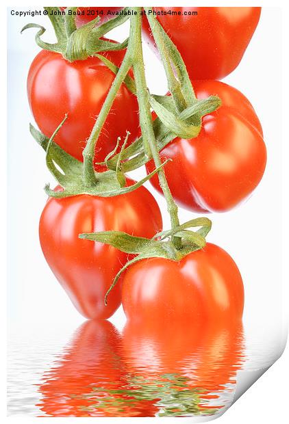 Reflected Tomatoes Print by John Boud