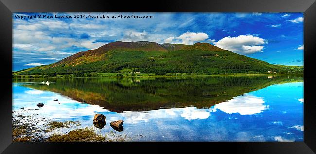 Dodd Wood Reflections Framed Print by Pete Lawless