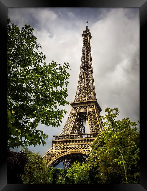 Eiffel Tower, Paris, France Framed Print by Mark Llewellyn