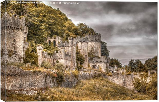 Gwrych Castle Collection 31 Canvas Print by stewart oakes