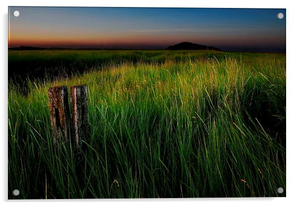 Just grass Acrylic by Robert Fielding