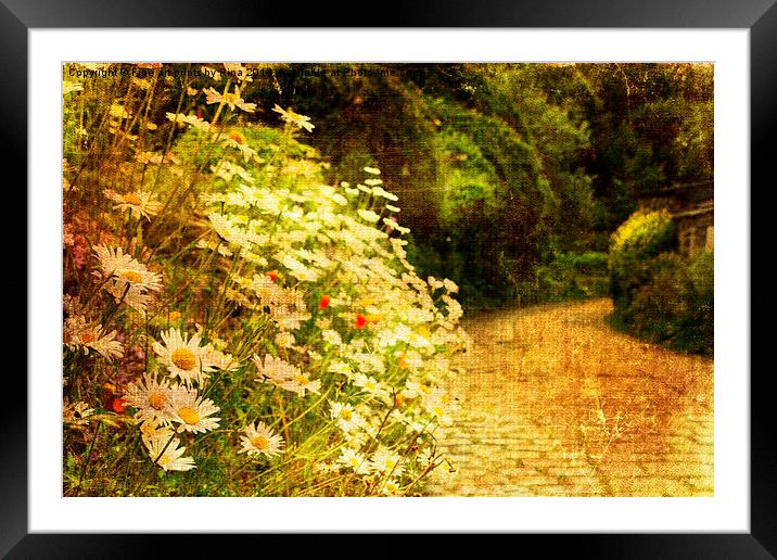 Daisies Framed Mounted Print by Fine art by Rina