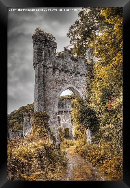 Gwrych Castle Collection 37 Framed Print by stewart oakes