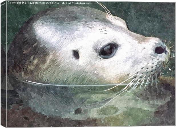 Seal in Water and Watercolour Canvas Print by Bill Lighterness