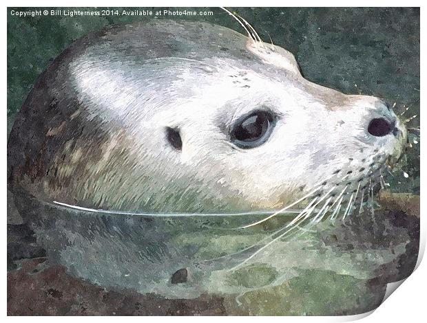 Seal in Water and Watercolour Print by Bill Lighterness