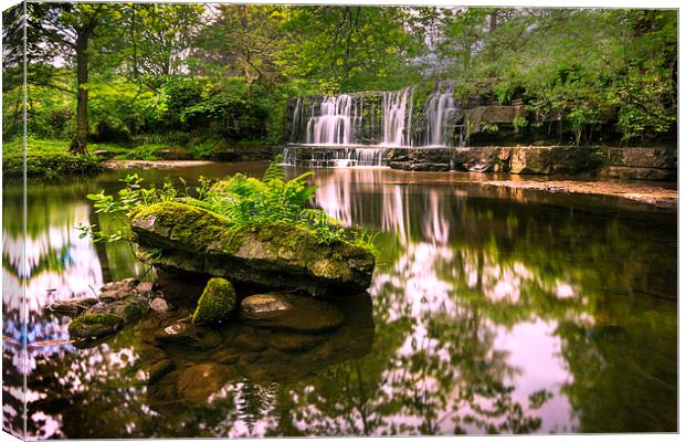 Nidderdale Gem Canvas Print by Neil Young