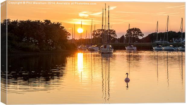 Swan at Sunset Canvas Print by Phil Wareham