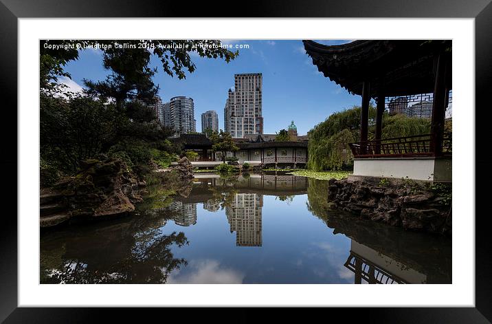 Chinese garden vancouver Framed Mounted Print by Leighton Collins