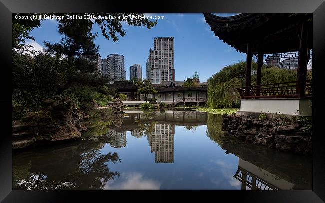 Chinese garden vancouver Framed Print by Leighton Collins