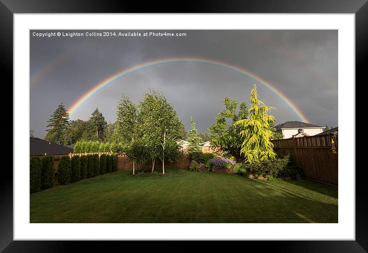 Rainbow garden Framed Mounted Print by Leighton Collins
