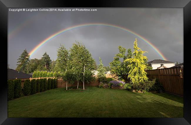 Rainbow garden Framed Print by Leighton Collins